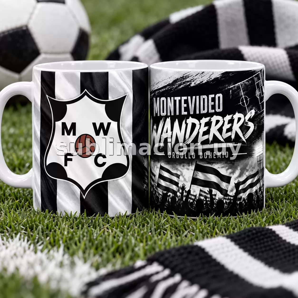 Taza de Wanderers (Mod 2)