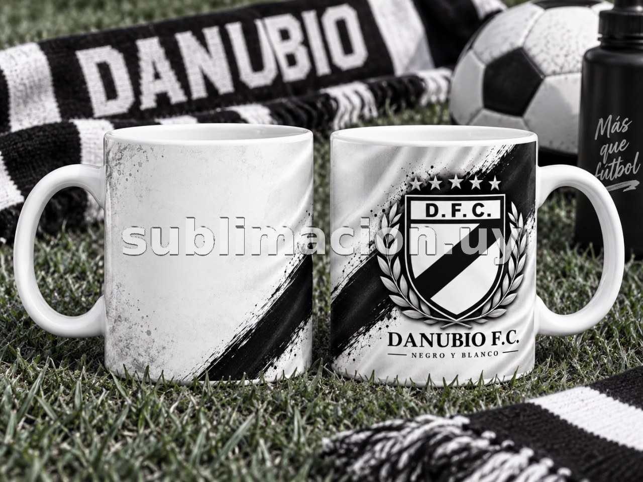 Taza de Danubio Personalizable (Mod 2)
